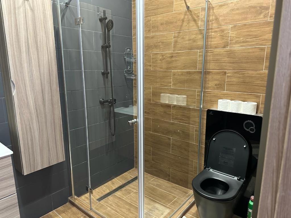 Apartamento Lizu Apartmant *